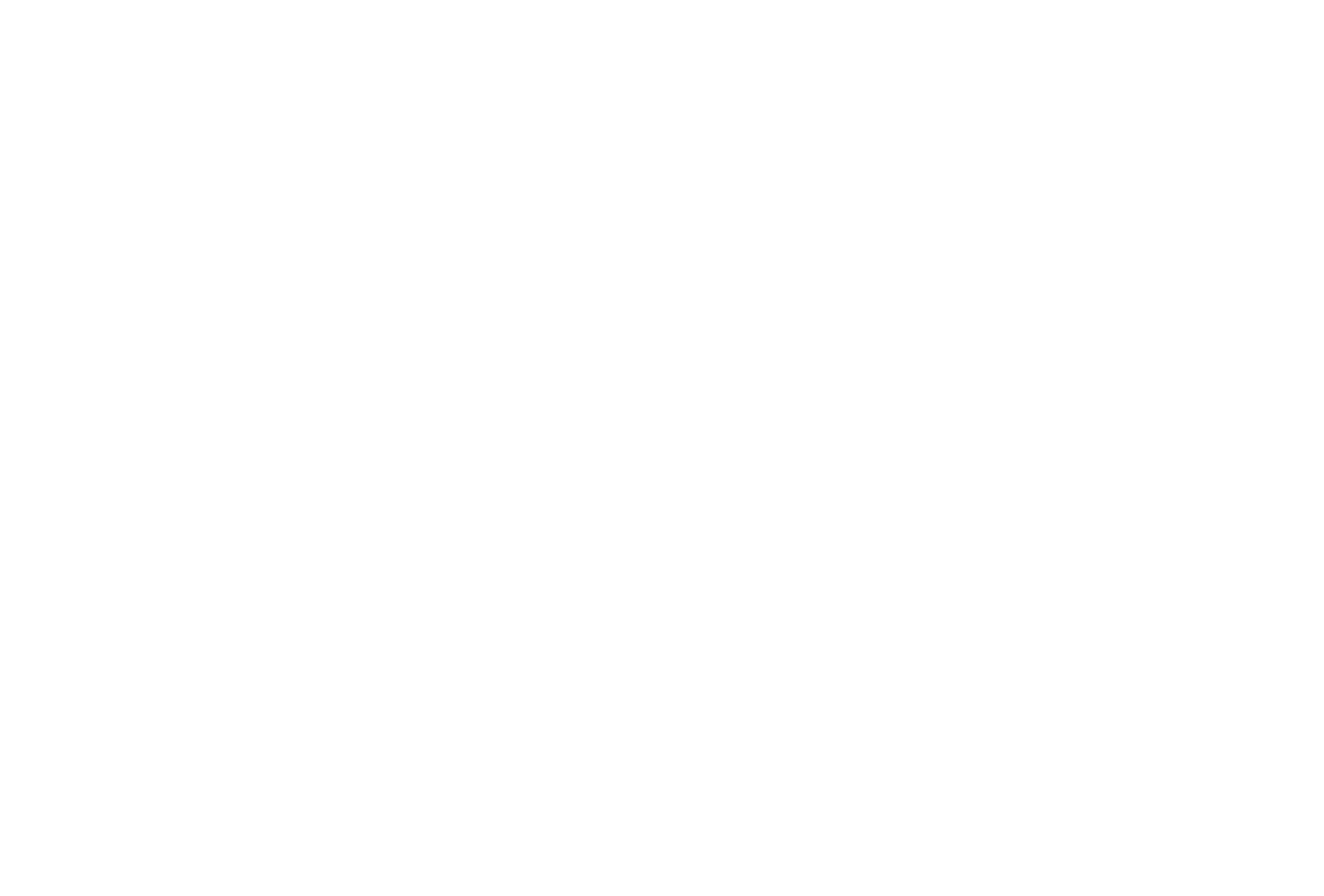 Portapulse Logo